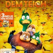 DVD Enten auf Abenteuerflug