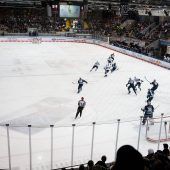 An guten Tagen ein Tollhaus