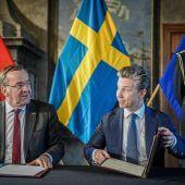 Pistorius will Musterung wie in Schweden