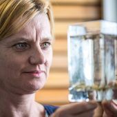 Jedes Insekt zählt beim Mückenatlas