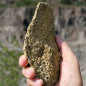 Frühmensch vor 1,42 Mio. Jahren