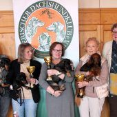 Wer ist der schönste Dackel im ganzen Land?