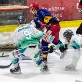 Peiting macht kurzen Prozess