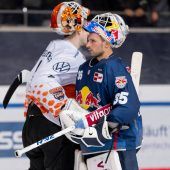 Und ewig grüßt der Grizzly