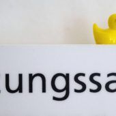 Enten-Invasion im Ulmer Rathaus