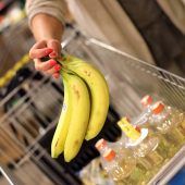 Erste gentechnisch veränderte Banane der Welt