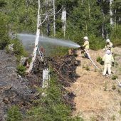 Feuerteufel am Plansee