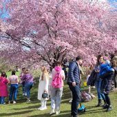 München im Farbenrausch