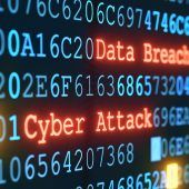 „Wir brauchen einen digitalen Führerschein“