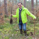 Der Wald der Zukunft