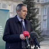 Irland: Harris klarer Favorit für Regierungsposten
