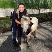 Keine Echtdaten-Tests mit Polizei-Software Razzia gegen Automatensprenger Polizei fängt entlaufenes Pony ein Suchaktion  nach Dreijährigem Kreisbäuerinnen fordern Beratung
