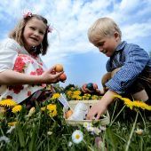 Ärzte-Ärger über die Ein-Ei-Empfehlung