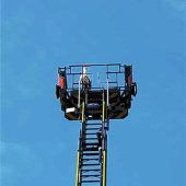 Storch prüft neues Zuhause