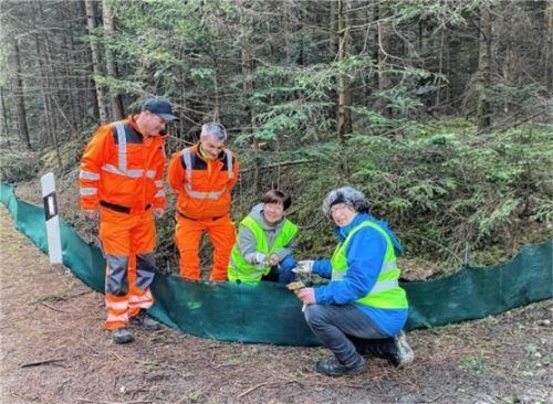 An der Krötenrettung beteiligten sich auch: (von links) Helmut Huber und Thomas Göschl vom Bauhof, Bürgermeisterin Sissi Schätz sowie Rosmarie Pointner von der Ortsgruppe Haag des Bund Naturschutz.Foto re