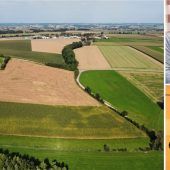 Solarpark zum Mitverdienen