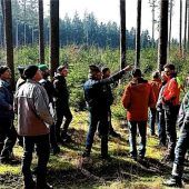 Unterwegs im Wald nahe des Kiesabbaus