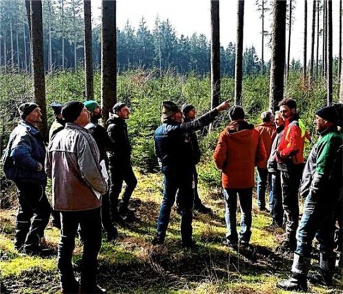 Bei idealem Wetter gab Jagdvorsteher Josef Utz (Mitte) Erläuterungen zum Baumbestand.Foto unterforsthuber