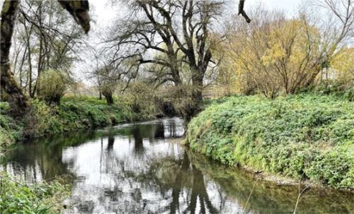 Das Fischereirecht am Flusslauf an der Isen zwischen Marketsmühle und Moosmühle bei Schwindegg sicherte sich der Fischereiverein.Foto Fischereiverein