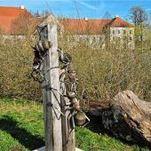 Eine Hyäne im Mesnerhaus und ein Hirschkäfer im Garten
