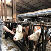 „Die gehen in der Arbeit unter“