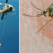 „Es ist ein schmaler Grat“