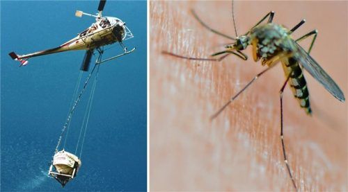 Der Helikopter, der die Stechmücken am Chiemsee bekämpft, durfte in den vergangenen Jahren nicht aufsteigen. Foto Berger /dpa