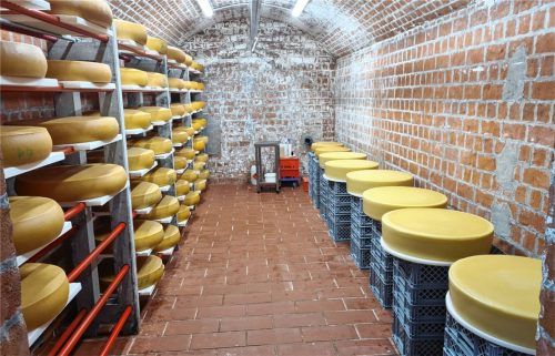Der „Tresor“ der Käserei: Im Erdreifegewölbe lagern die Köstlichkeiten, bis sie für den Verkauf bereit sind. Täglich werden sie gewendet und mit Salzwasser oder Sonnenblumenöl gepflegt. Fotos re