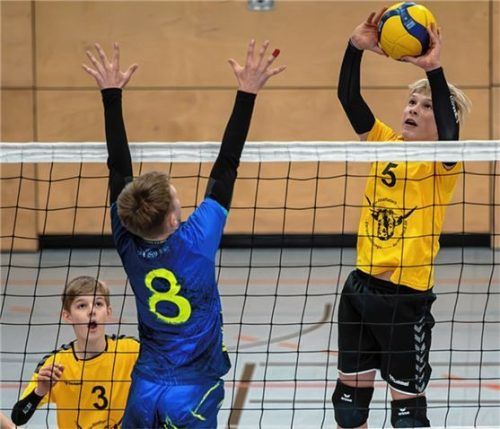 Der TSV Gars krönte sich im Finale gegen Marktredwitz zum bayerischen U14-Meister.Foto Leo Graßmann