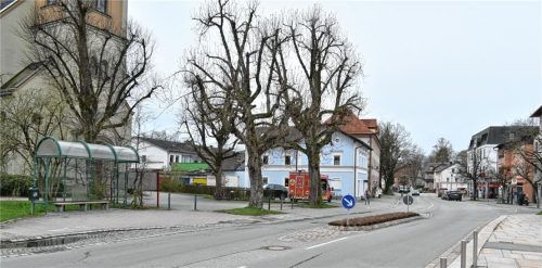 Die „Blumeninsel“ zwischen der Kirche St. Georg (linker Bildrand) und Rathaus wird nach Ostern zur barrierefreien Querungsinsel umgebaut. Foto Schlecker