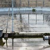 Genehmigungenfür Einleitung