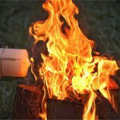 „Darum glauben wir an das ewige Leben!“