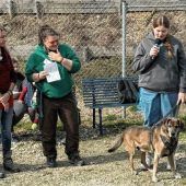 1000 Besucher zeigen ihr Herz für Tiere