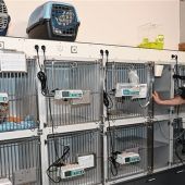 Die Not mit dem Notdienst