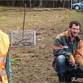 Wanderung der Frösche und Kröten hat begonnen