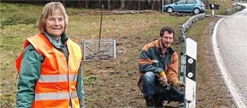 Ehrenamtliche Helfer vom Bund Naturschutz Traunstein sammeln am Schutzzaun die Amphibien und tragen sie über die Straße. Foto re