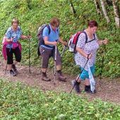 Pfarrverbände laden zum Tagespilgern