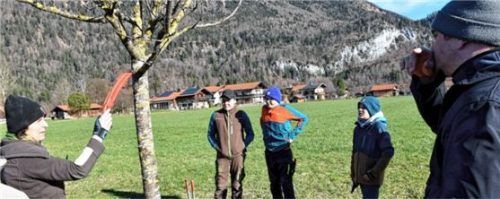 Gute Tipps und Ratschläge erteilte Lehrerin Johanna Hörfarter (links) zum Baumschnitt, damit es im Herbst zur ertragreichen Ernte kommt. Foto Wunderlich