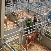 Erwartungen weit übertroffen