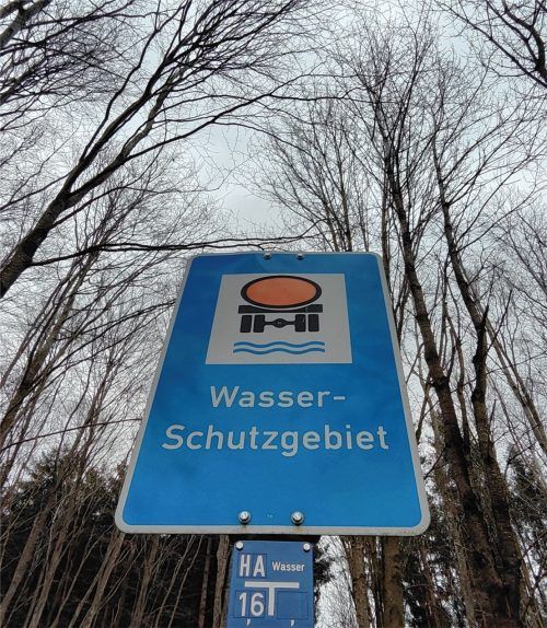 Im trockenen Sommer 2023 war es trotzdem ziemlich feucht im sogenannten Kaiserholz – dort, wo sich auch Brunnen der Stadt befinden. In der Stadtratssitzung wurden einige Fragen zum Trinkwasser geklärt. Foto Josef Enzinger
