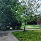 Kein Kredit für Investitionen nötig