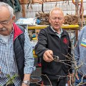 Die Kunst des richtigen Schnittes
