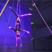 „Kunst kommt von Können“