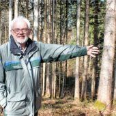 „Der Wald ist wichtiger denn je“