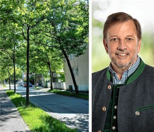 Mehr Grün und gleichzeitig die Nachverdichtung vorantreiben, ist ein Kompromiss. Jetzt muss man versuchen, mehr Grün in Waldkraiburg zu erhalten, findet Harald Jungbauer. Foto Rolle/CSU