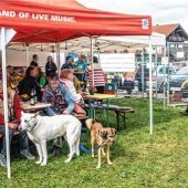 Hunde aus dem Tierheim stellen sich vor