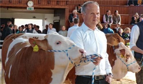 Richard Straubinger präsentiert eine Kuh beim Jubiläum des Fleckviehzuchtverbands Mühldorf. Foto Rath