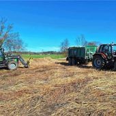 Positive Auswirkung auf Umwelt und Natur