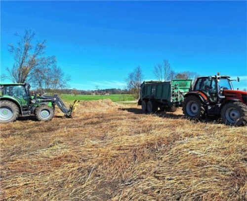Schilfausbringung auf landwirtschaftlichen Flächen am Eiselfinger See für die Artenvielfalt.Foto Reinthaler