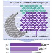 Renken werden immer kleiner